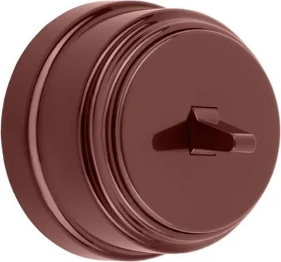 Produktbild von Aufputz einfach Lichtschalter mit Wippe Schalter 10 A Braun serie Retro