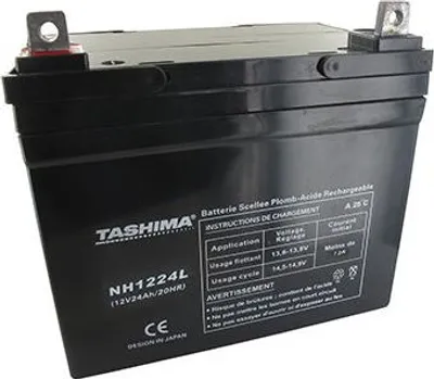 Image de Batterie Tashima Agm 100% étanche 12v, 24a Pour Autoportée. L: 195, L: 130, H: 180, + à Gauche. - Batterie à Mettre En Acide Ava