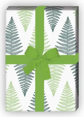 Produktbild von Elegantes Farn Geschenkpapier für schöne Geschenke, grün weiß - G9905, 32 x 48cm