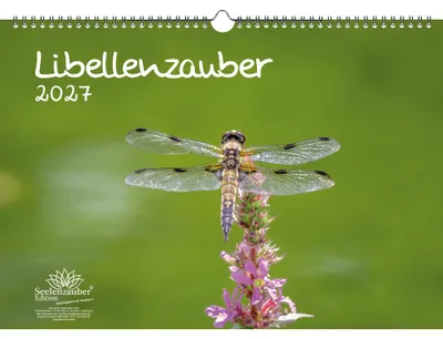 Produktbild von Libellenzauber DIN A3 Kalender für 2027 - Seelenzauber