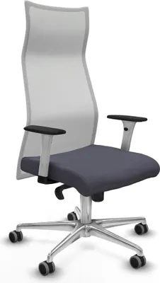 Obrázek produktu pro Kancelářská židle Piqueras y Crespo B1B086G tmavě šedá