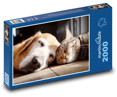 Obrázek produktu pro martinpuzzle - Puzzle 2000 - Spící kočka a pes