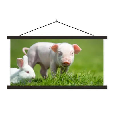 Produktbild von MuchoWow® Textilposter Ferkel - Kaninchen - Tiere 150x75 cm mit schwarzem Rahmen - Posterleiste