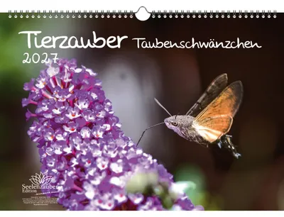 Produktbild von Tierzauber Taubenschwänzchen DIN A3 Kalender für 2027 - Seelenzauber