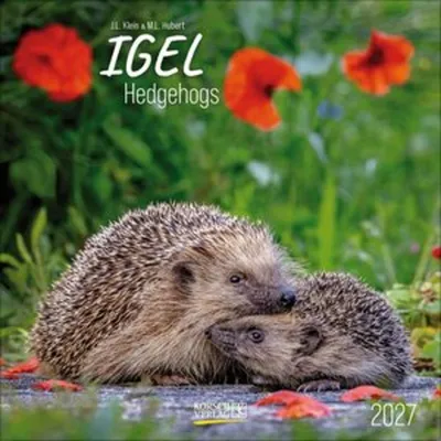 Obrázok produktu pre Igel 2027