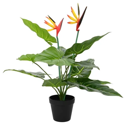 Produktbild von vidaXL Künstliche Strelitzia-Pflanze Grün 65 x 13 x 55 cm