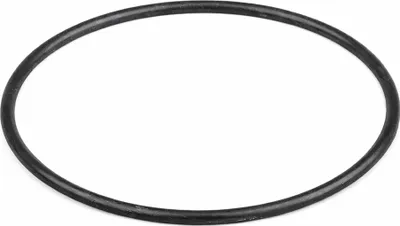A black O-ring is shown against a white background.