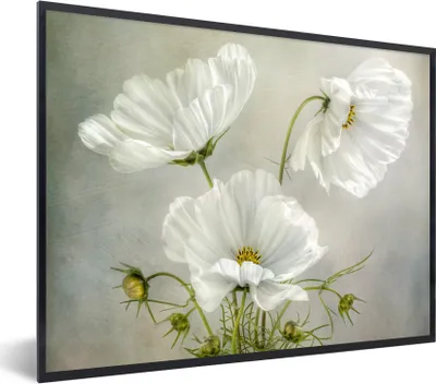 Produktbild von MuchoWow® Gerahmtes Poster Blumen - Stillleben - Mohn - Weiß - Botanisch 40x30 cm - Poster mit Schwarzem Bilderrahmen Wandposter Rahmen Foto Bilder - Kunstposter - Wanddekorationen