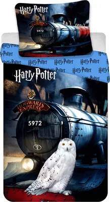 Productafbeelding van Harry Potter, dekbedovertrek Hogwarts Express, 140x200 cm, 70x90 cm