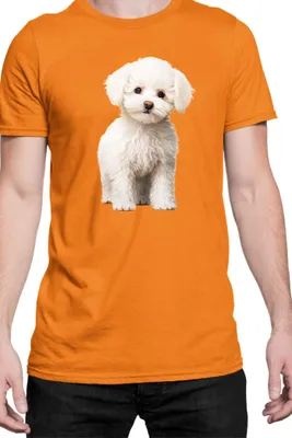 Produktbild von Herren T-Shirt Dogs Breeds Bichon Frise Dog Breed 006, Man XL / Orange