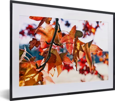 Produktbild von MuchoWow® Gerahmtes Poster Ahorn - Blätter - Rustikal - Herbst 40x30 cm - Poster mit Schwarzem Bilderrahmen Wandposter Rahmen Foto Bilder - Bilderrahmen - Poster im Rahmen