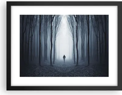 Produktbild von Gerahmtes Poster - Schwarzer Rahmen - Charakter Wald Einsamkeit - 40x30 cm - Wand Bild - Wanddeko - Wandbilder - Wandposter - Bilderrahmen - Bilder - Kunstdruck - Wandbild - P2BAA40x30-4142