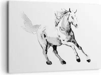 Produktbild von Bild auf Leinwand - Leinwandbild - Einteilig - Pferd Galopp Tier - 100x70cm - Wand Bild - Wanddeko - Wandbilder - Leinwanddruck - Bilder - Wanddekoration - Leinwand bilder - Wandbild - AA100x70-5117