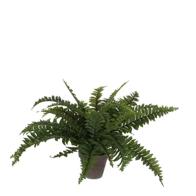 Produktbild von Mica Decorations Kunstliche Pflanze - Farn - grun - im Topf - 42 cm