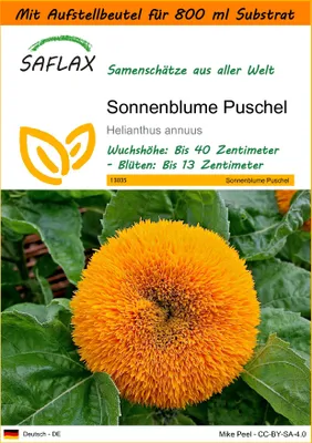 Produktbild von SAFLAX Garden in the bag - Sonnenblume Puschel - Helianthus annuus - 40 Samen - Mit Anzuchtsubstrat im praktischen, selbst aufstellenden Beutel