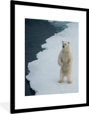 Produktbild von MuchoWow® MuchoWow® Gerahmtes Poster Eis - Eisbär - Winter 60x80 cm - Poster mit zchwarzem Bilderrahmen - Wohnzimmer - Dekorationen - Prämie