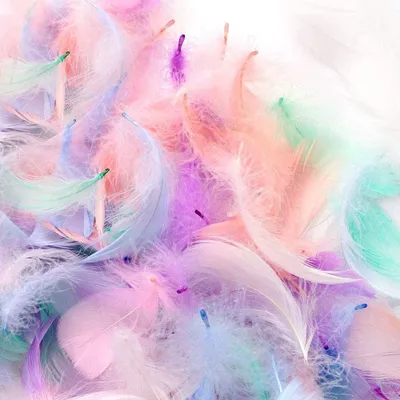 200 bunte Gänsefedern 6-15 cm für DIY Basteln & Deko