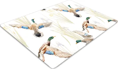 Produktbild von Stuhlunterlage Bürostuhlunterlage 120 cm x 90 cm Bodenmatte Bürostuhlunterlage - Ente