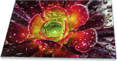 Produktbild von Herdabdeckplatte Glaskeramikkochfeld-Abdeckung Spritzschutz Glas Universal 80x52 Natur Rot