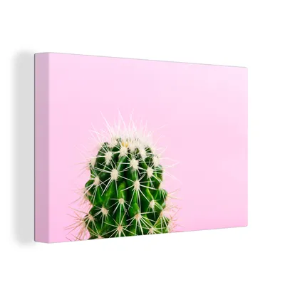 Obrázek produktu pro OneMillionCanvasses® Malba na plátně Nástěnná malba na plátně - Kaktus na růžové - 150x100cm
