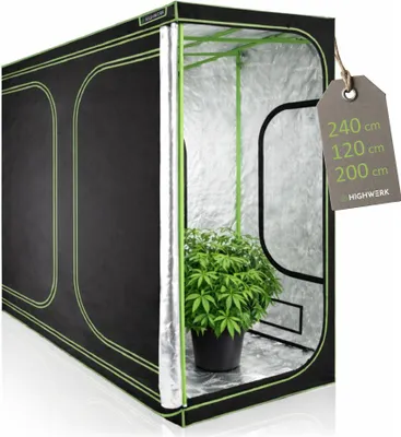 A grow tent with a plant inside, displayed on a white background.