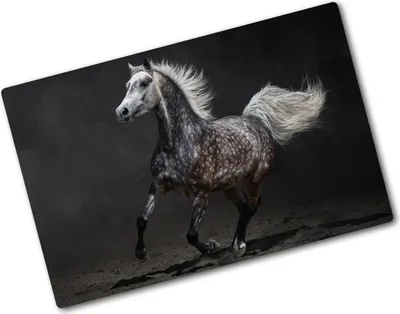 Produktbild von Tulup Glas Herdabdeckplatte - 80x52 cm - Glaskeramikkochfeld-Abdeckung Spritzschutz Glasabdeckplatte - Einteilig - Tiere - Arabisches Pferd - Schwarz