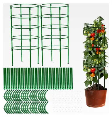 Produktbild von Tomaten Rankhilfe, 125 cm, 2 Stück, verstellbare Pflanzenstütze für Garten
