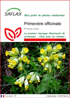 Image de SAFLAX  - Primevère officinale - 100 graines - Primula