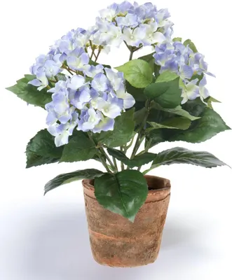Produktbild von artplants.de Textilblume Hortensie LAIDA im Terracottatopf, hellblau, 35cm - Künstliche blühende Pflanze