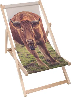 Produktbild von Dreamroots Liegestuhl klappbar Holz, Buchenholz bis zu 130 kg, Sonnenliege klappbar mit 3-stufiger Neigungsregulierung der Rückenlehne, Red Cow