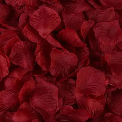 Obrázek produktu pro 100 Rosenblätter, Rot - Bordeaux