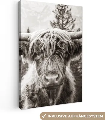 Obrázok produktu pre MuchoWow® - Plátno - Škótsky horal - Krava - Zvieratá - Čierna - Biela, fototapeta, nástenné dekorácie obrazy obývacia izba, 40x60cm