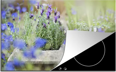 Produktbild von KitchenYeah© Herdabdeckplatte Nahaufnahme von Lavendel in einem Garten , 76x51cm, Küche Deko, Glaskeramikkochfeld Herdabdeckung, Abdeckplatte fùr Kochfeld