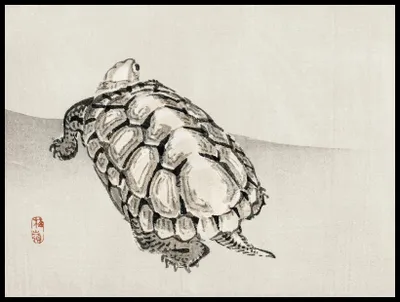 Produktbild von Plakat 80x60cm Schildkröte, Kōno Bairei Japanisches Vintage für das Wohnzimmer