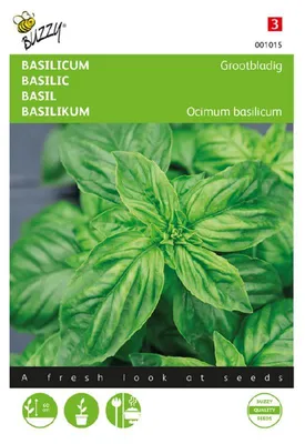 Produktbild von Buzzy Seeds Basilikum Großblättrig Kräutersamen - 1 Saatgutbeutel