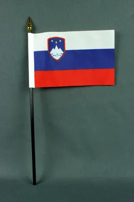 Produktbild von Flagge am Stab Slowenien 10x15 cm Handflagge Stockflagge Fähnchen