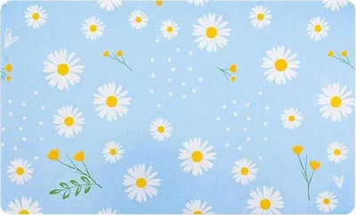 Produktbild von Famanu Futtermat für Hunde und Katzen - 50 x 30 cm, blau mit Gänseblümchenmuster