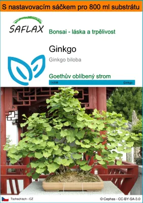 Obrázek produktu pro SAFLAX Garden in the bag - ginkgo - Ginkgo biloba - 4 Semena - S pěstebním substrátem v praktickém samovztyčovacím sáčku