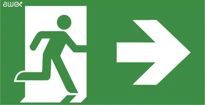 Image de Pictogramme RICHTUNG ZUM NOTAUSGANG RECHTS, 150x300mm