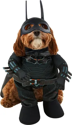 Produktbild von Rubie's DC Batman The Batman Movie Pet Costume, As Shown, X-Large