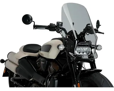 Zdjęcie produktu dla PUIG Naked touring screen smoked clear dla Harley davidson sportster s