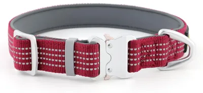 Productafbeelding van Reflecterende Hondenhalsband van Nylon - Burgunderrood met Neopreen Padding
