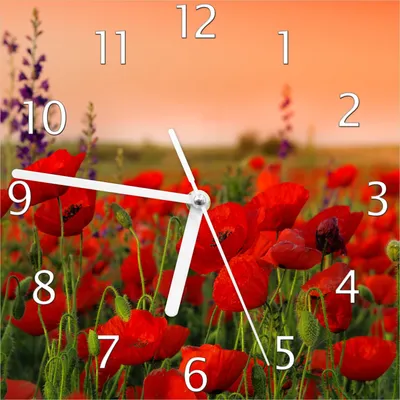 Produktbild von Wallario Design Wanduhr Mohnblumen auf dem Feld aus Echtglas, Größe 20 x 20 cm