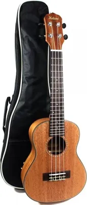 Produktbild von Ukulele IZ320CM aus Mahagoni mit Aquila-Saiten und gepolstertem Bezug