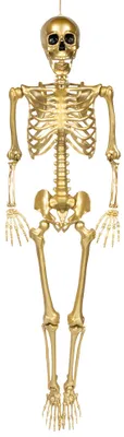 Produktbild von Goldskelett Halloweendeko – 160 cm