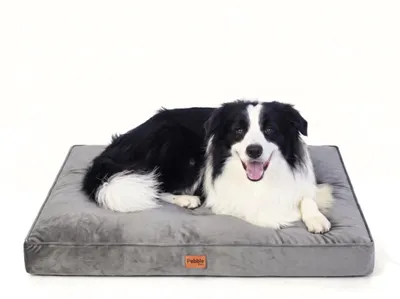 Produktbild von Pebble Hundekissen 89 x 66 cm – Benchmatte / Hundematte aus Samt, abnehmbarer Bezug, waschbar, Dunkelgrau (L)