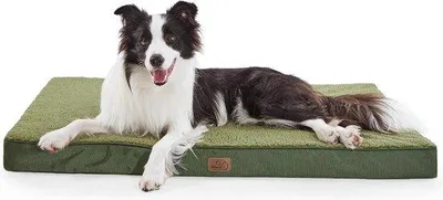 Image de Grand matelas pour lit de chien en tissu, couleur verte
