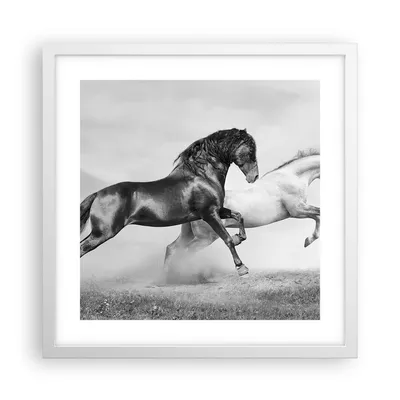Produktbild von Gerahmtes Poster - Weißer Rahmen - Pferde Tiere Galopp Wiese - 40x40 cm - Wand Bild - Wanddeko - Wandbilder - Kunstposter - Wandposter - Bilderrahmen - Bilder - Kunstdruck - Wandbild - P2WAC40x40-2683