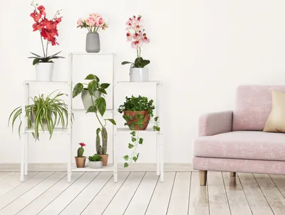 Obrázok produktu pre Relaxdays Drevený regál na kvety, 7 políc na rastliny, dekoratívny schodík na kvety do interiéru, stojací, 86,5 x 95 x 29,5 cm, biely