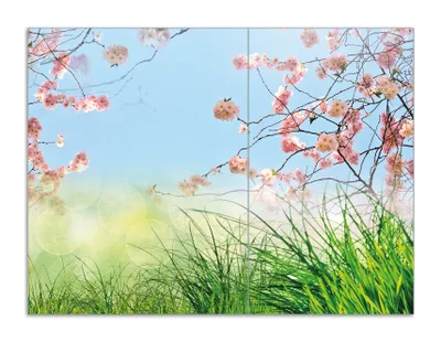 Produktbild von Wallario Herdabdeckplatte aus Glas, Größe 70 x 52 cm 2-teilig, Motiv Kirschblütenzweige und grüne Wiese- Frühling
